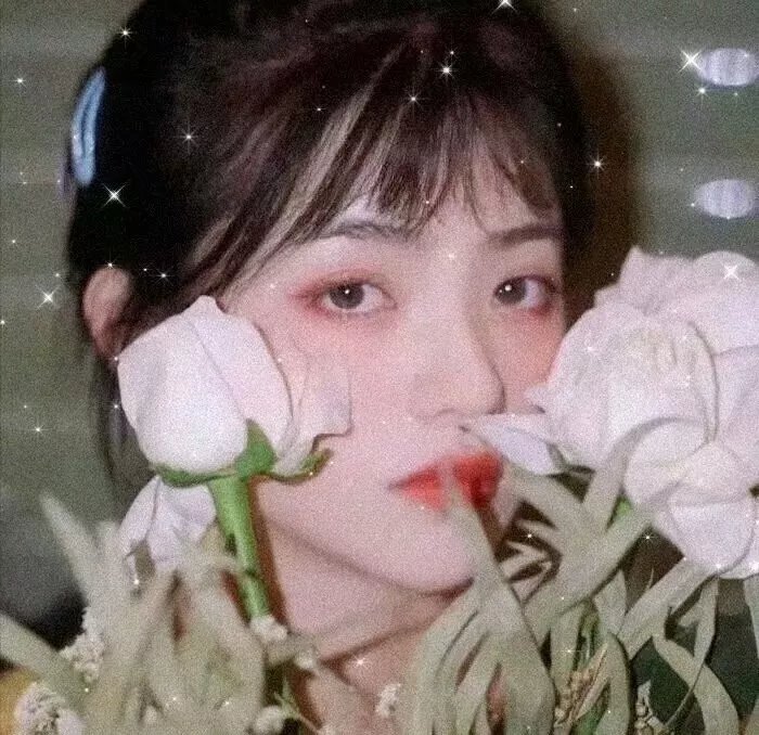 代号巴德